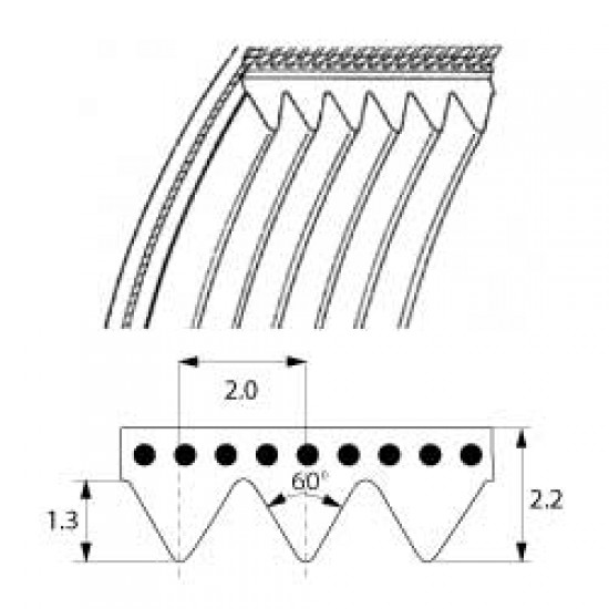 Curea TB2-310, circumferinta L 310 mm, latime 16 mm, 8 caneluri, MEGADYNE - 697280